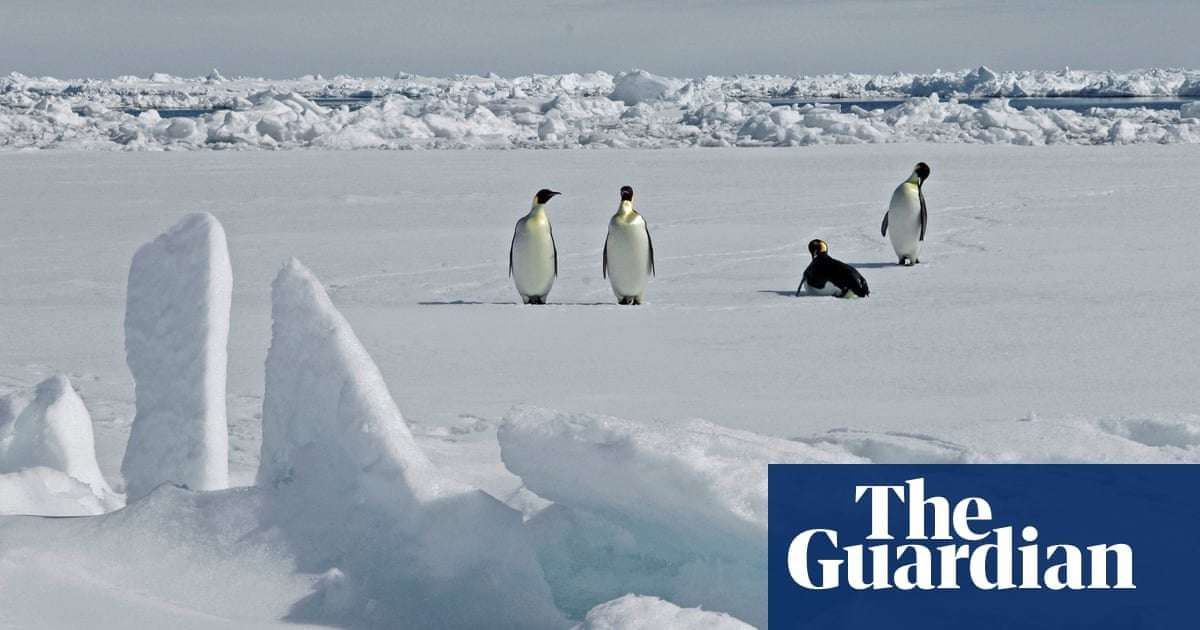 image for Scientists discover emperor penguin colony in Antarctica using satellite images