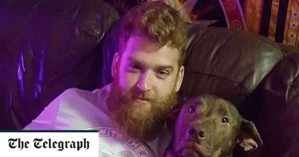image for Dog shoots owner dead