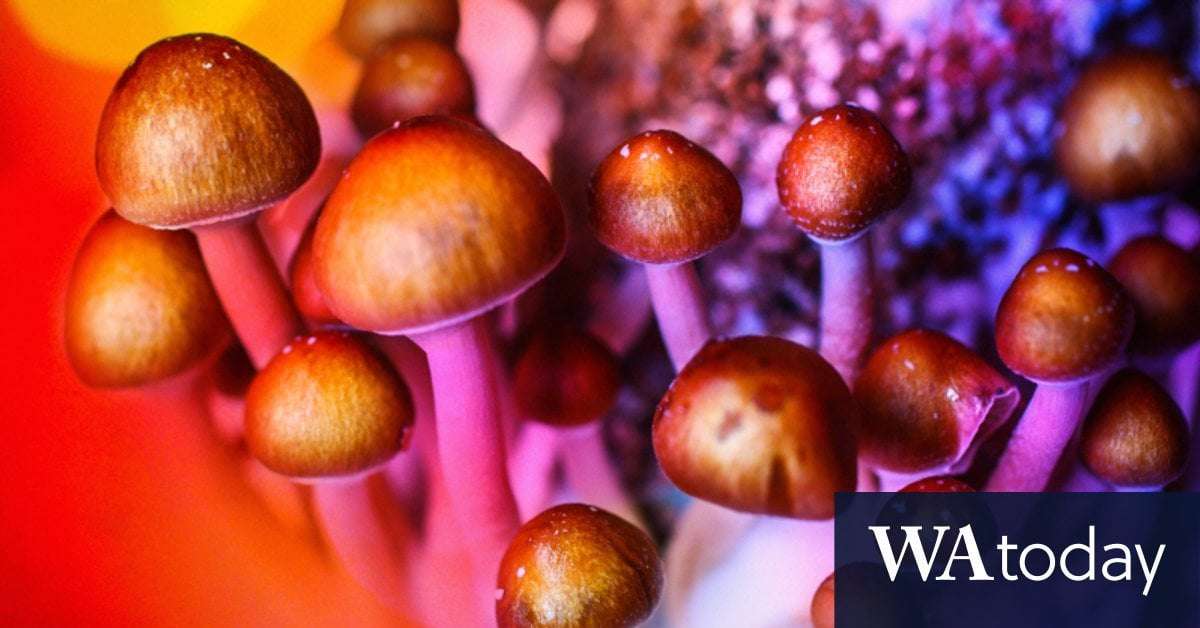 image for Australia becomes first country to recognise psychedelics as medicines