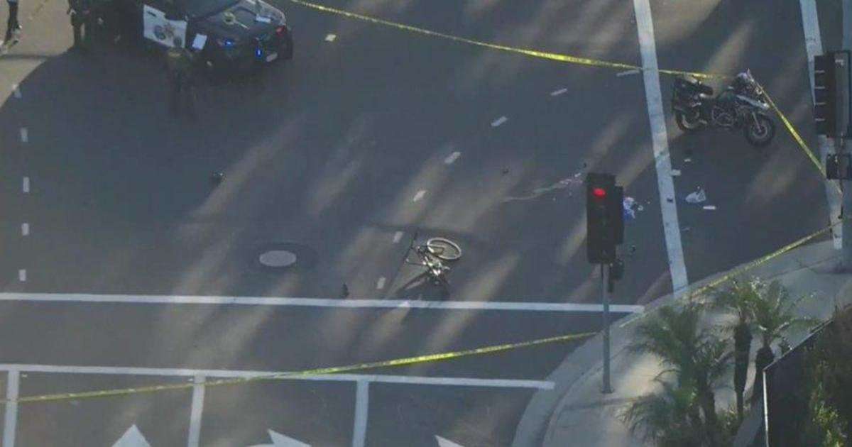 image for Biking doctor struck by Lexus in California, then allegedly stabbed to death by driver; bystanders detain suspect