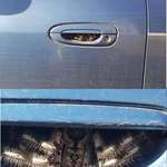 image for Spider in a car door handle in Australia