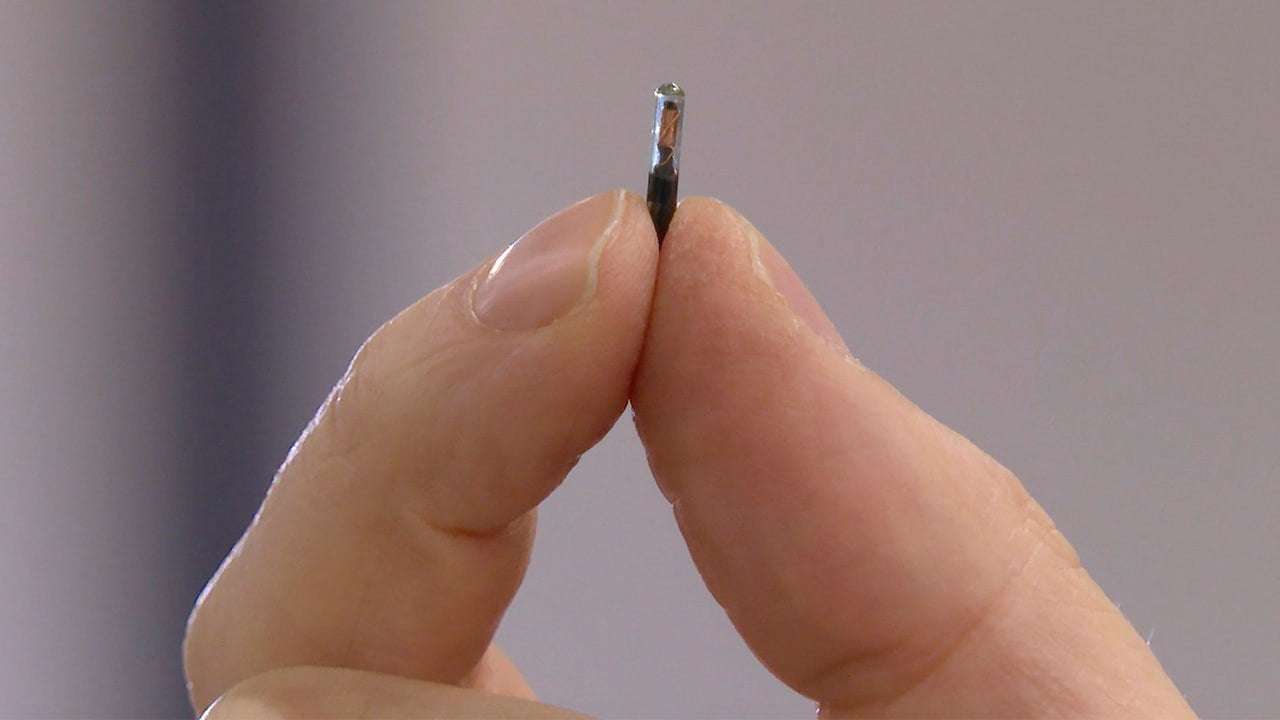 image for Alabama Democrats want to ban employers from forcing workers to get microchipped