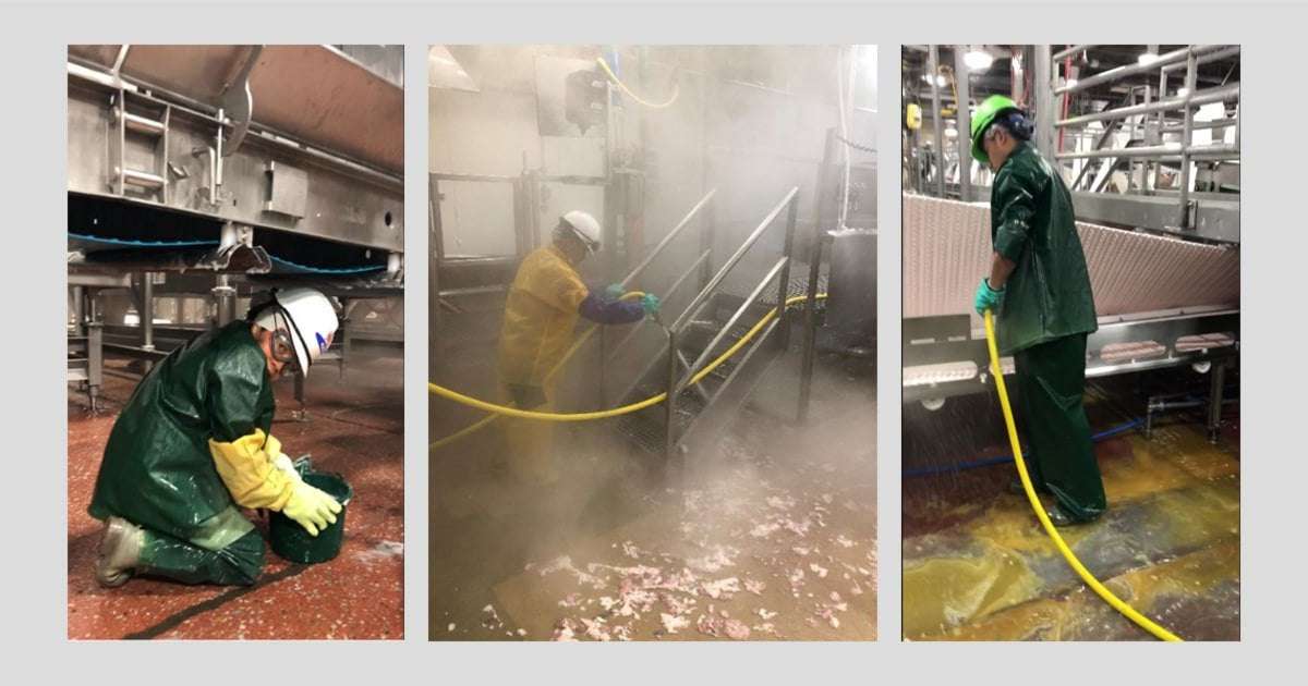 image for Federal officials say more than 100 children worked in dangerous jobs for slaughterhouse cleaning firm