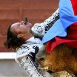 image for The Famous Photo of Bullfighter Julio Aparicio Getting Gored by a Bull (NSFL)