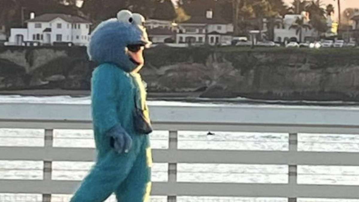 image for Police warn locals not to approach man in Cookie Monster costume terrorising seaside area