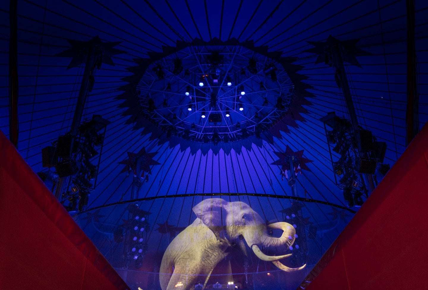 image for See this German circus that replaced animals with holograms