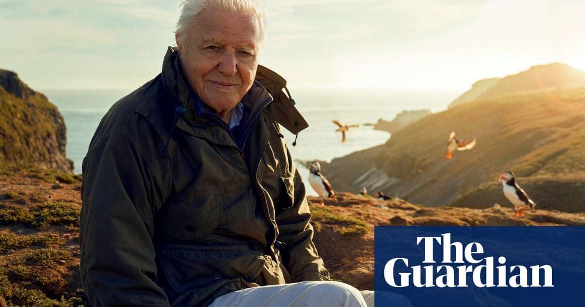image for BBC will not broadcast Attenborough episode over fear of ‘rightwing backlash’