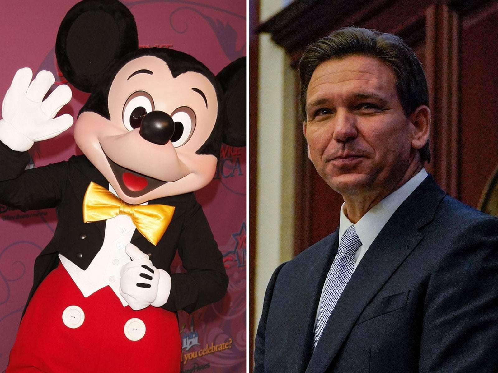 image for Disney World Defies Ron DeSantis by Hosting Gay Rights Summit in Florida