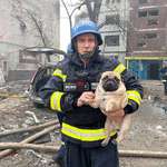 image for Rescuers pulled dog out of apartment building in Ukraine that was hit by a Russian missile today