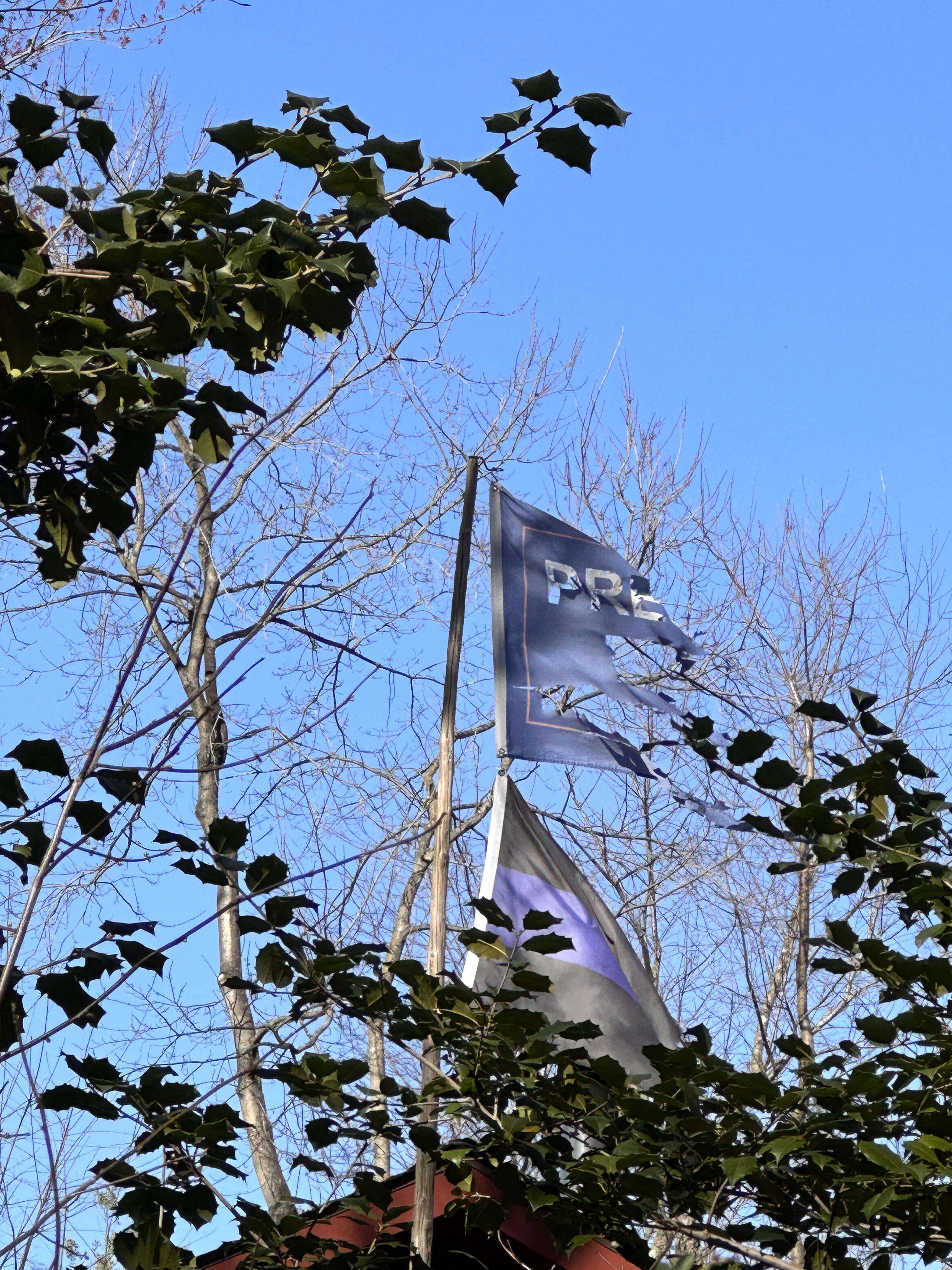 image showing My neighbor is a Jan 6ther and currently in prison. This is the flag above his garage.