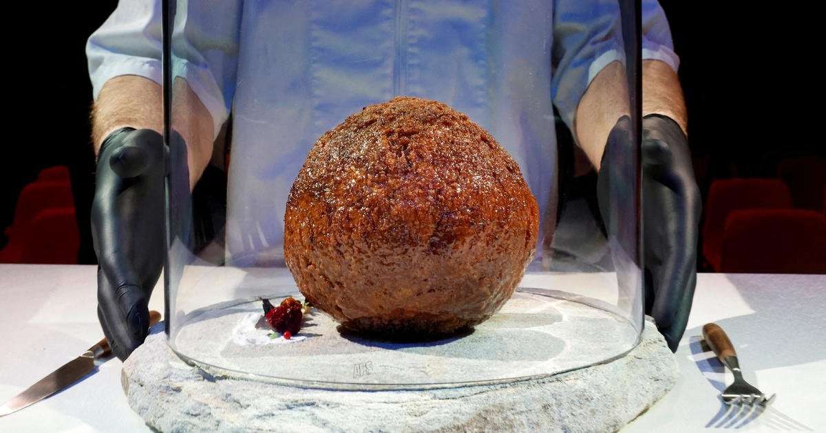 image for Startup makes giant meatball out of lab-grown mammoth meat