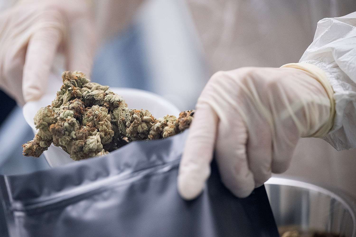 image for Kentucky Legalizes Medical Marijuana in Bipartisan Vote After Decade of Failed Attempts