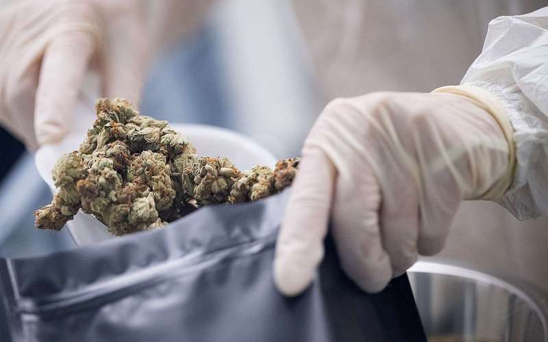 image for Kentucky Legalizes Medical Marijuana in Bipartisan Vote After Decade of Failed Attempts