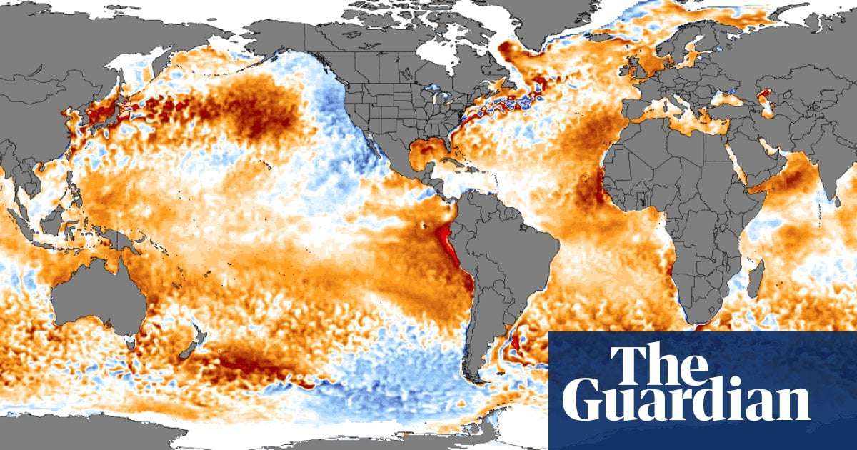 image for ‘Headed off the charts’: world’s ocean surface temperature hits record high