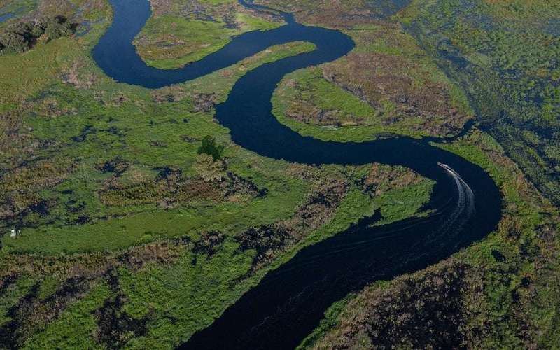image for The Kissimmee River has been brought back to life—and wildlife is thriving