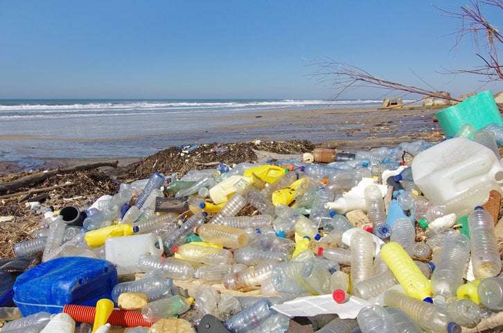 image for Mayor Dumps Tons of Trash on Beach so Clean-Up Campaign Has Something to Remove