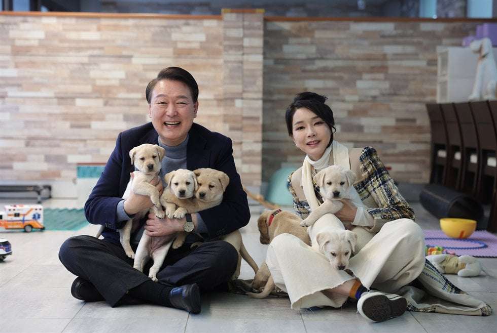 image for Owners of dog meat farms slam first lady