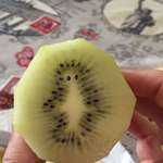 image for This kiwi looks like Burns' Alien in The Springfield Files episode.