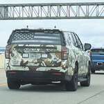 image for A forest camo Texas police car with military symbols
