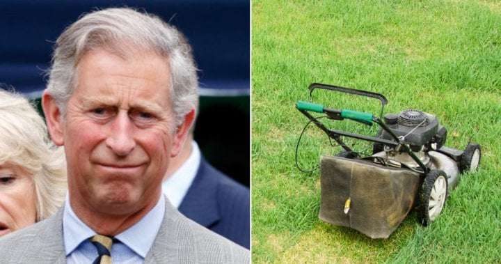 image for Huge phallic likeness mowed into lawn at King Charles’ coronation event site - National