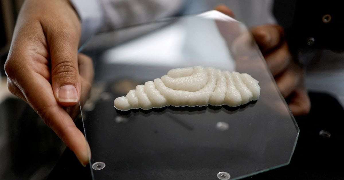 image for Dished up by 3D printers, a new kind of fish to fry