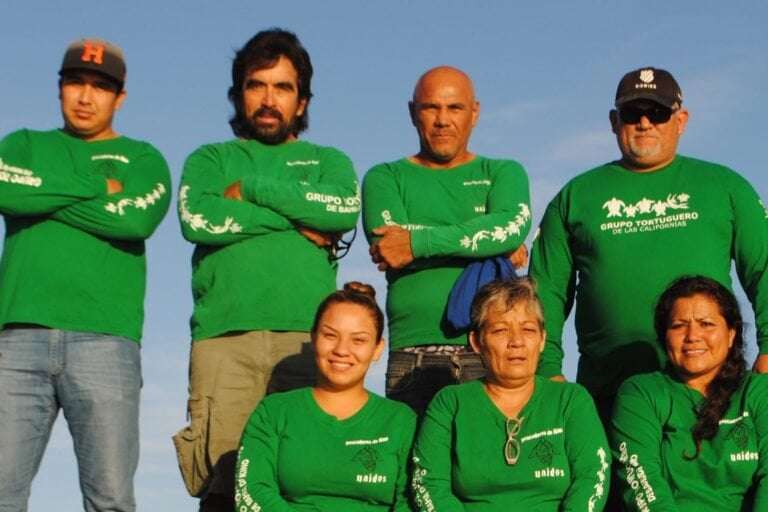 image for The Mexican family who gave up fishing to monitor and rescue sea turtles