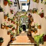 image for ITAP of a side street with hanging baskets in Cordoba