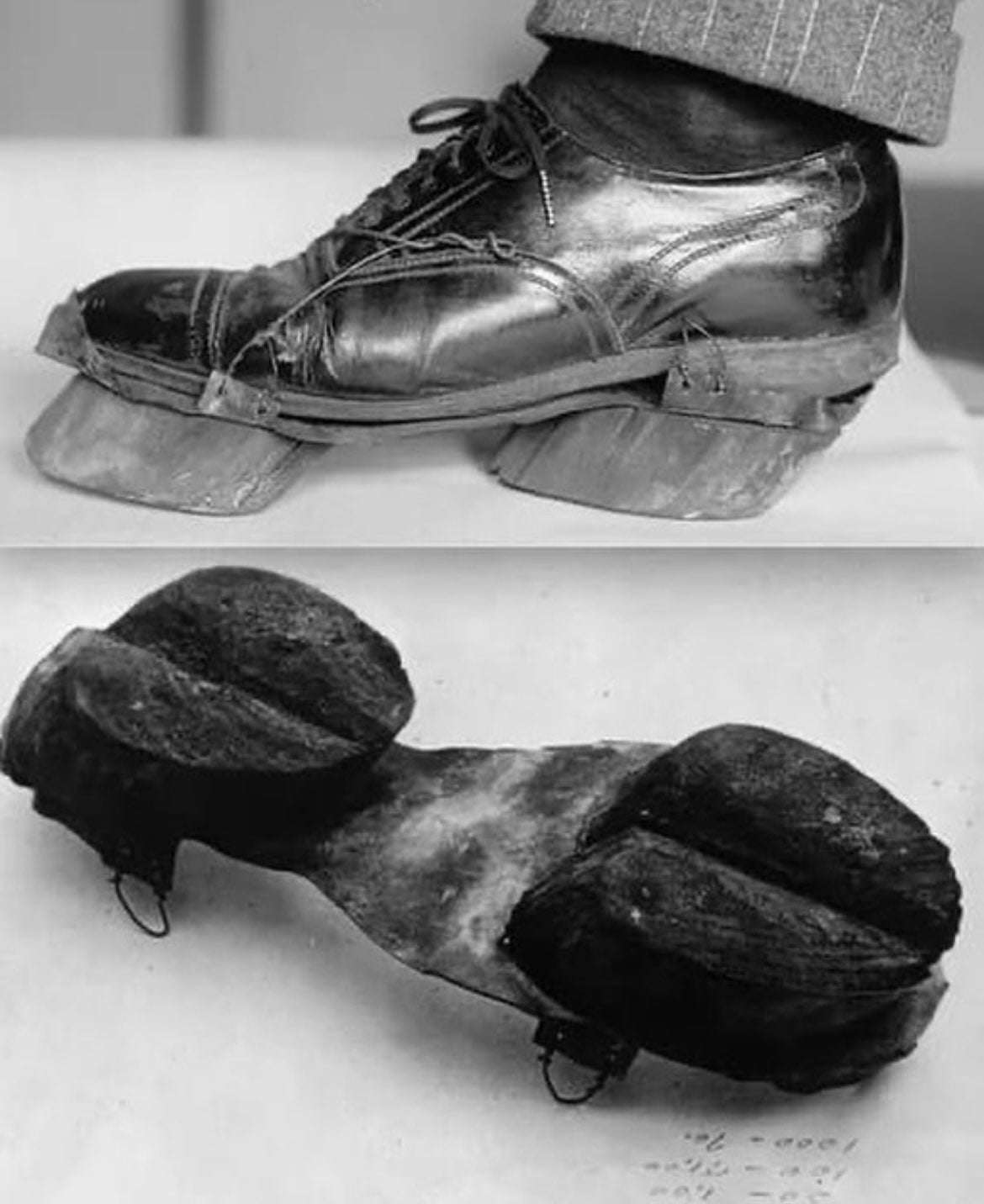 image showing Cow shoes used by Moonshiners in the Prohibition days (1919-1933) to disguise their tootprints.