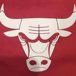 image for If you turn the bulls logo upside down it looks like a robot getting intimate with a crab