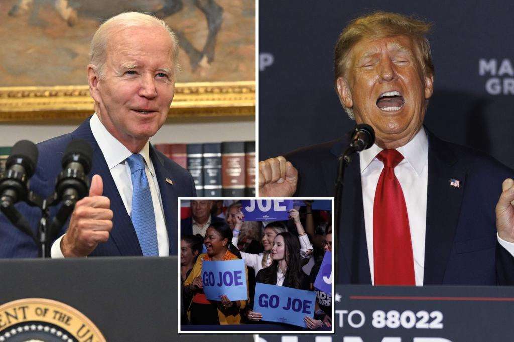 image for Biden up 7 points over Donald Trump in 2024 popular vote, poll shows