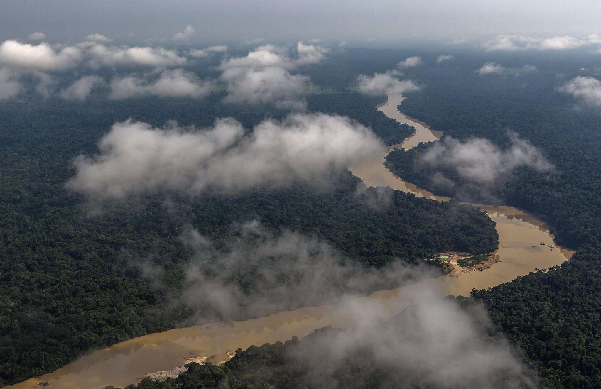image for A preserved Amazon rainforest worth USD $317 billion per year: World Bank