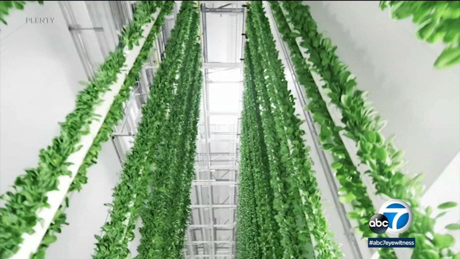 image for Compton's new indoor vertical farm brings fresh produce, more jobs to city