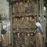 image for Miners of Charbonnagge de Mariemont-Bascoup crammed into coal mine elevator after a day of work.1900