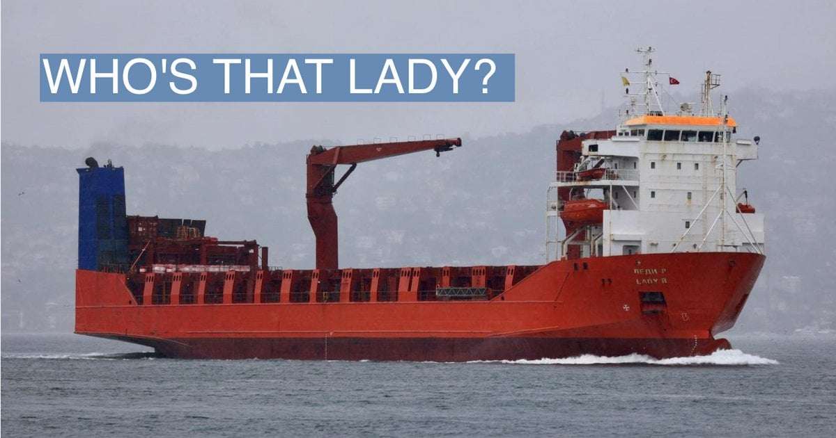 image for A South African company delivered arms to Russians on Lady R, government probe suggests