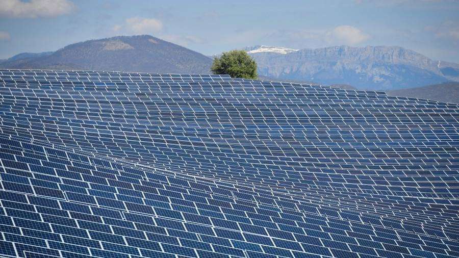 image for Solar power investment to exceed oil for first time, says IEA chief
