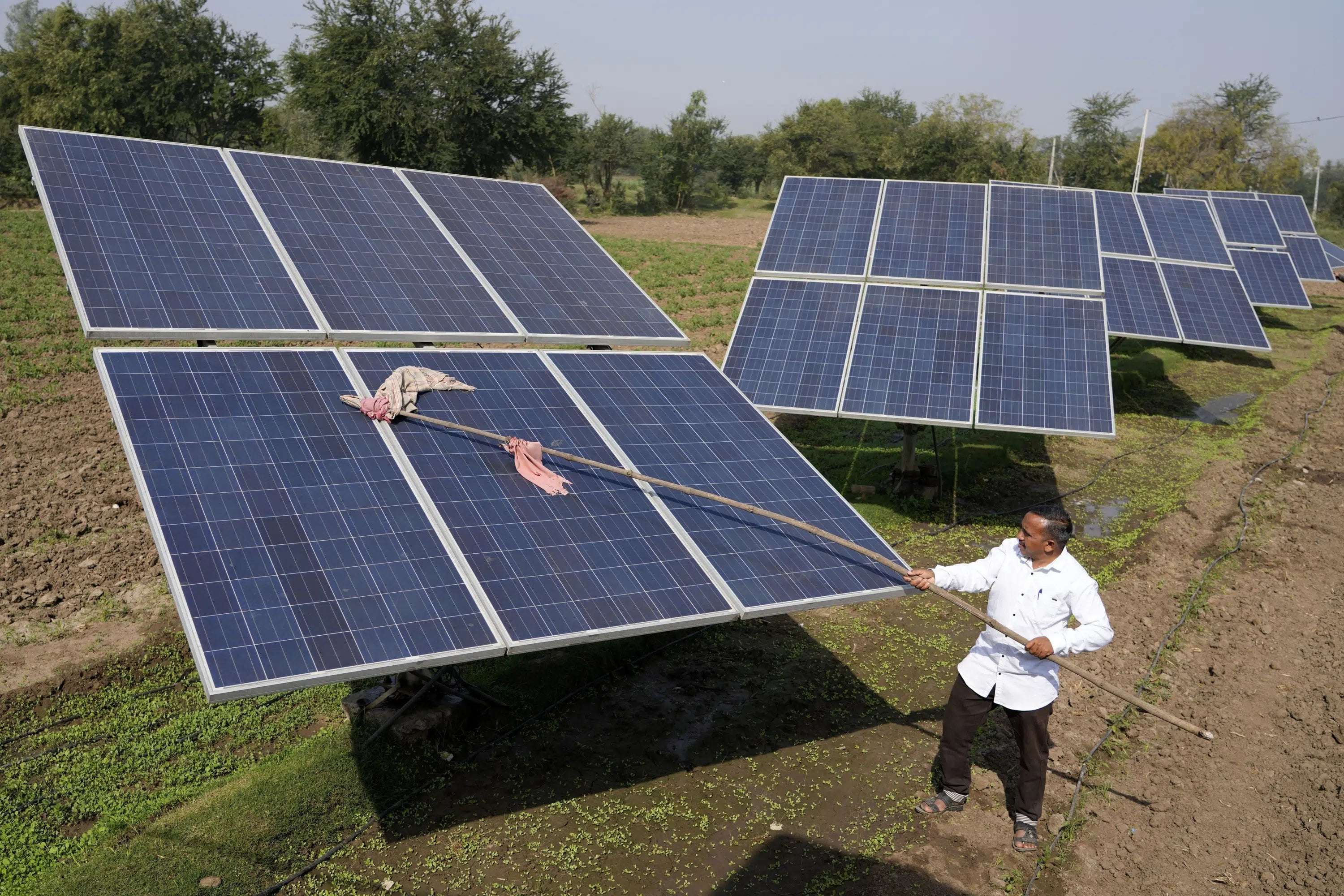 image for India pauses plans to add new coal plants for five years, bets on renewables, batteries