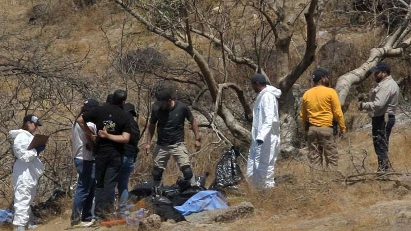 image for Mexico police found 45 bags containing body parts "matching characteristics" of missing call center staff