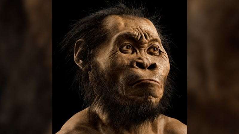 image for Homo naledi buried their dead 100,000 years before humans