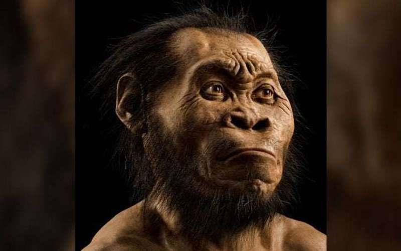 image for Homo naledi buried their dead 100,000 years before humans