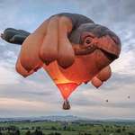 image for This is the Skywhale, a floating artwork hot-air ballon from Canberra, Australia