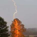 image for A one in a bazillion shot of a tree getting struck by lightning in West Virginia.