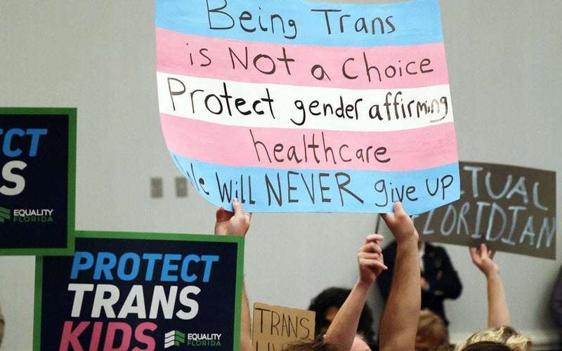 image for U.S. judge blocks Florida ban on care for trans minors in narrow ruling, says ‘gender identity is real’
