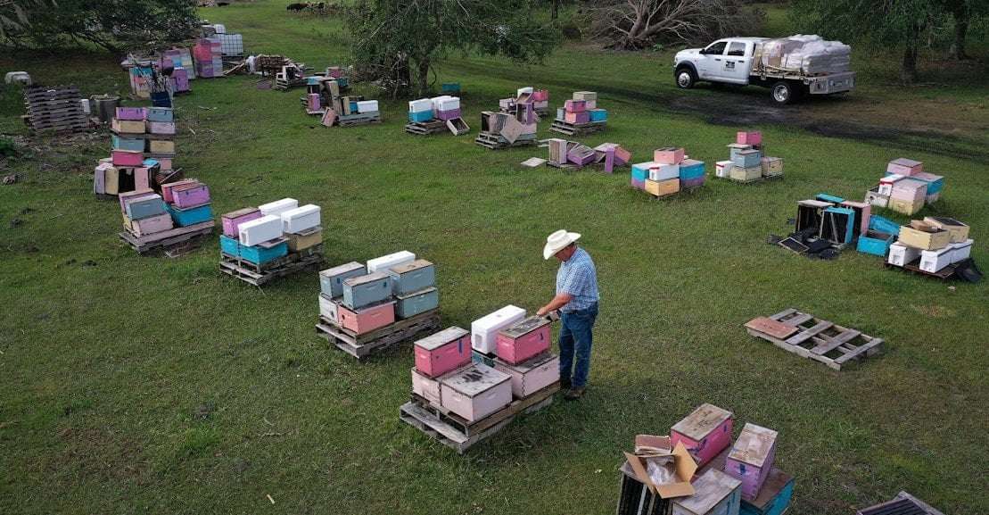 image for Florida Republicans Admit They Made a Big Mistake With Anti-Immigrant Law