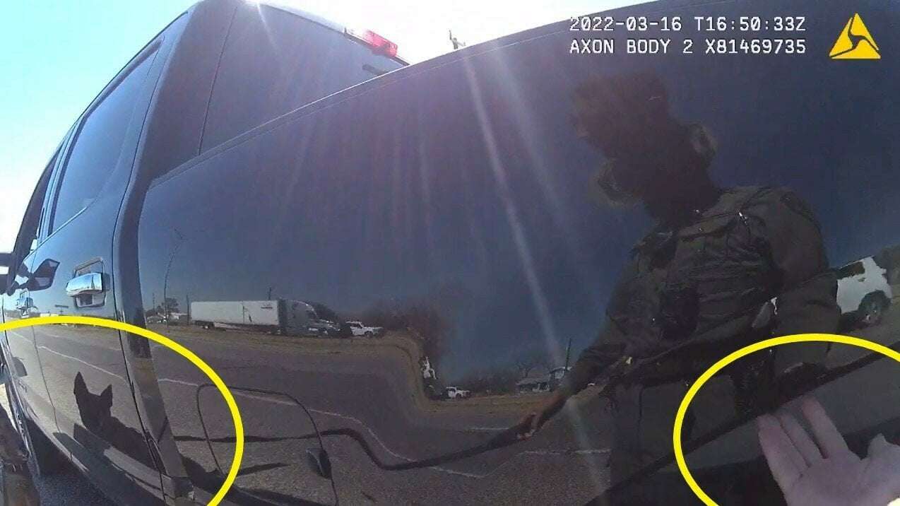 image for Courts have long seen K-9 dogs as impartial. Now police bodycams hold them accountable