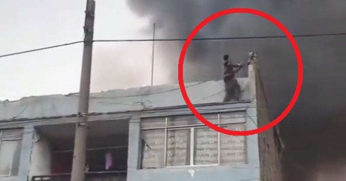 image for Colombiano es héroe en Perú: rescató a 25 perritos que estuvieron a punto de morir en incendio
