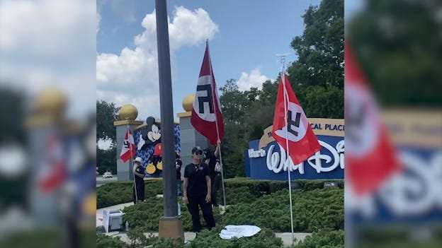 image for People with Nazi flags, signs supporting Florida Gov. DeSantis gathered outside Disney World