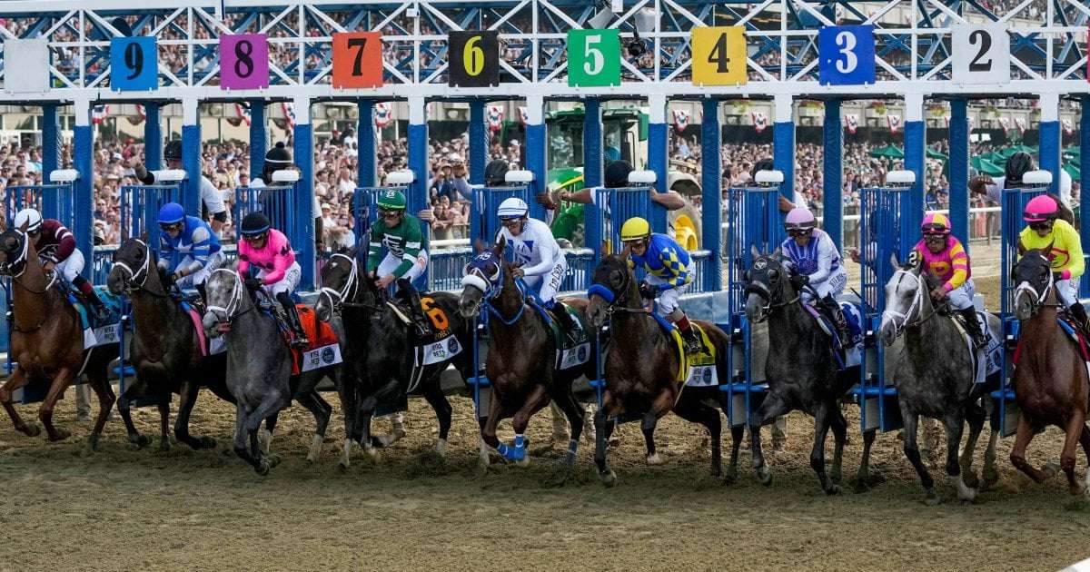 image for Horses die in consecutive races at Belmont Park after history-making event