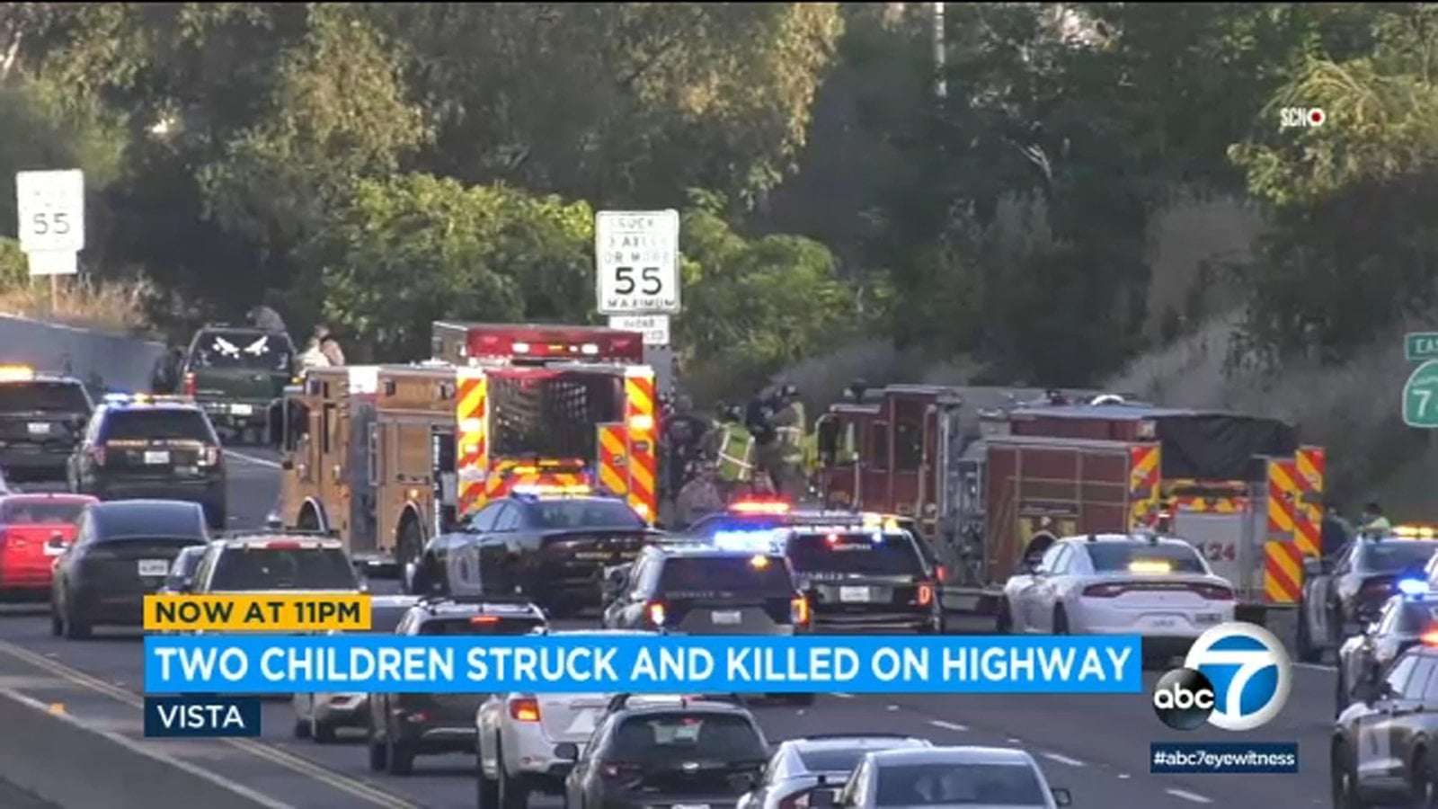 image for 2 children killed after running into traffic on freeway near San Diego; mother arrested for DUI