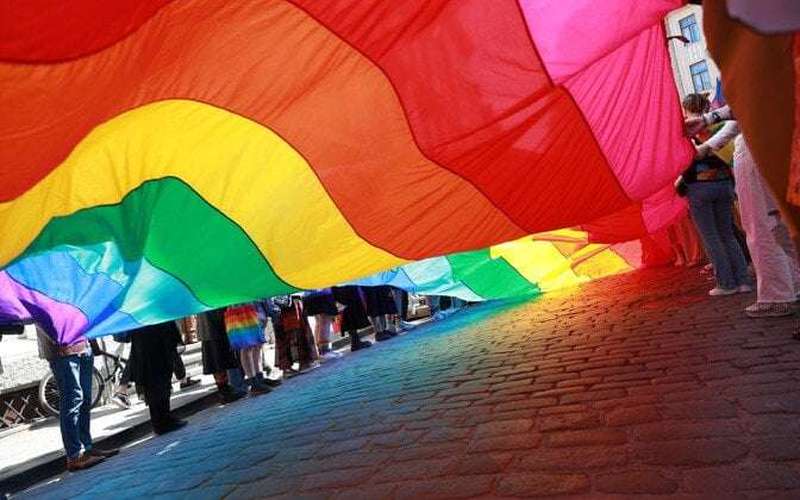 image for Historic decision: Estonia legalizes same-sex marriage