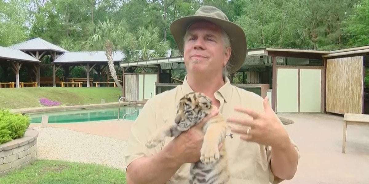 image for Virginia jury convicts Myrtle Beach Safari owner of wildlife trafficking